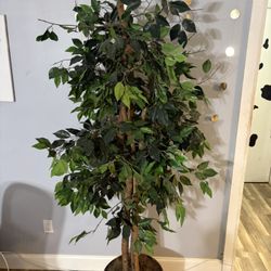 Artificial Plant/Tree