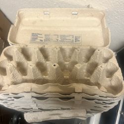 Egg Cartons For Free - Clean And Ready