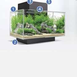 Fluval Aquarium 