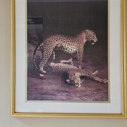 Cheetah Print In Frame