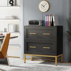 2 Drawer File Cabinet, Modern Lateral Filing Cabinet for Letter/Legal/A4 Size, Printer Stand with Storage, Black & Gold.