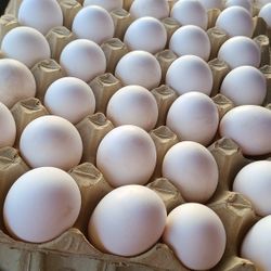 Farm Fresh Eggs