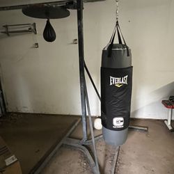 Punching Bags 