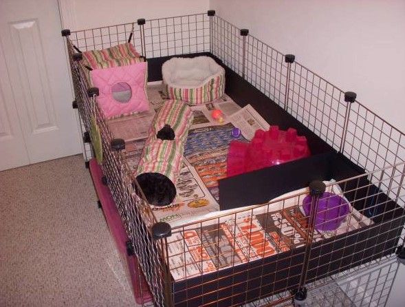 Used Cage For Hedgehogs