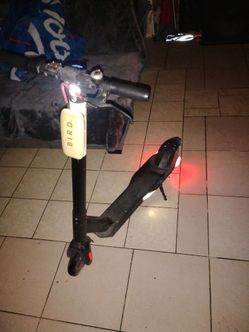 E Scooter