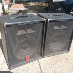 (2) Fender Speakers. 100 Wats each, 8 Ohms.