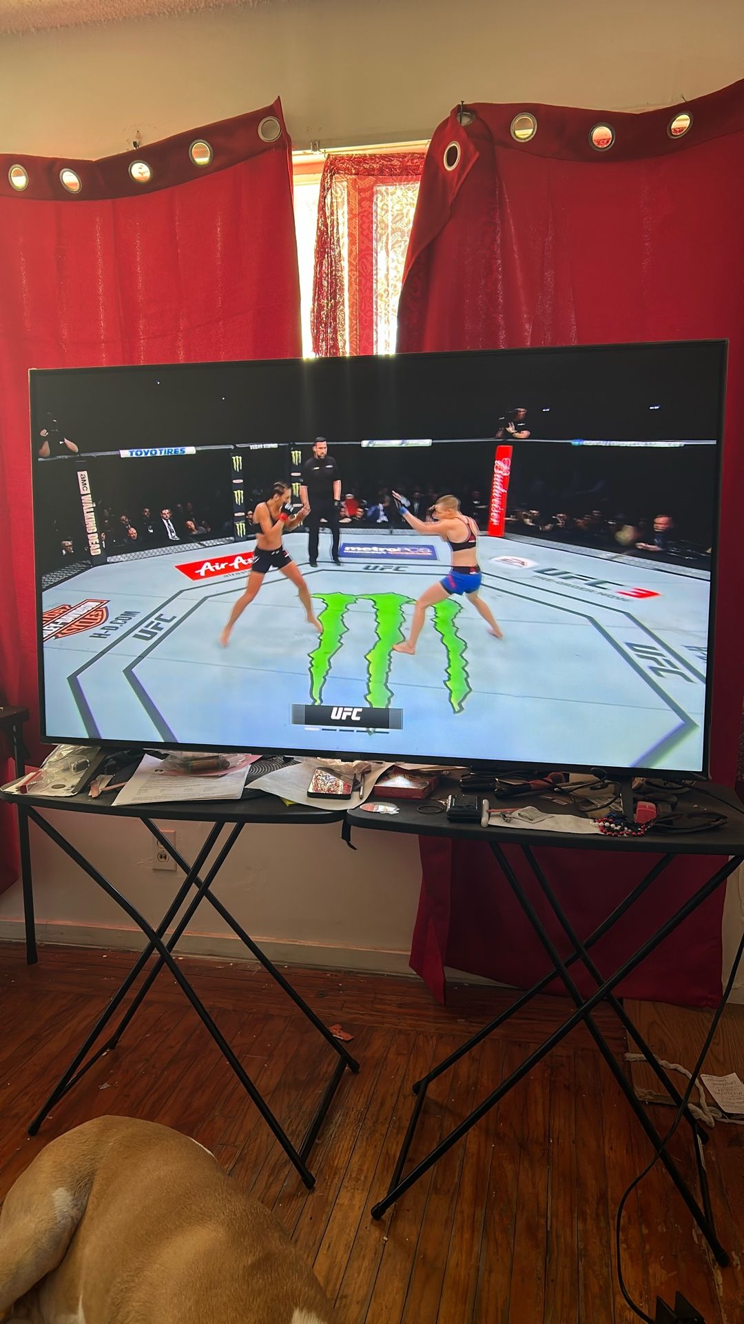 LG 55 In UHD A1