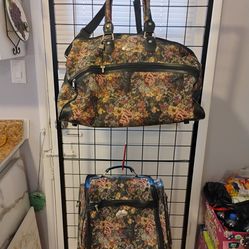 2 Skyway travel bags