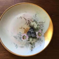 Bavaria Vintage Hand Painted Plate