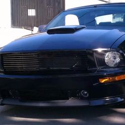 Mustang Gt Hood