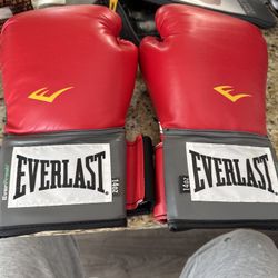 14oz Boxing Gloves 