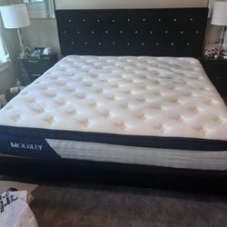 King Bed Frame 