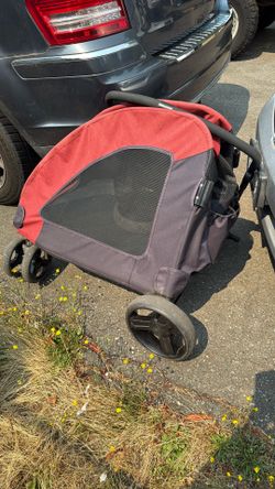 Pet Jogger Red/charcoal. 40.00