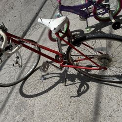 Bikes Adult/kids
