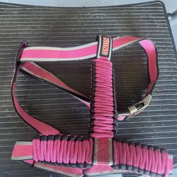 Kong Dog Harness 