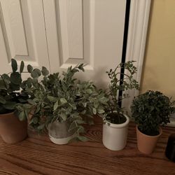 Fake Plants