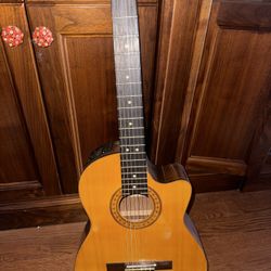 Takamine EG-124C Classical Electric Guitar W/Padded bag