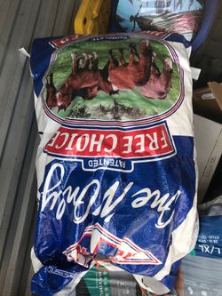 Horse food