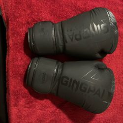 Boxing Gloves 