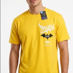 Batman x southpole men t-shirt size Large