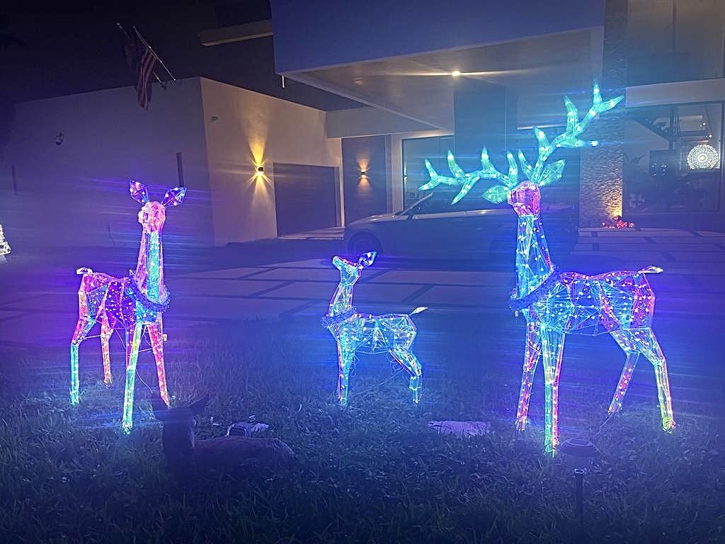 Familia De Ciervos Prismáticos.