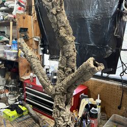 Reptile Cork Bark Tree 