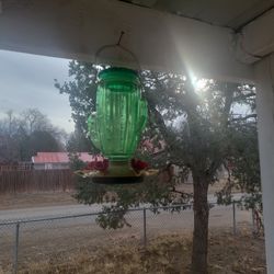 Cactus Humming Bird Feeder 