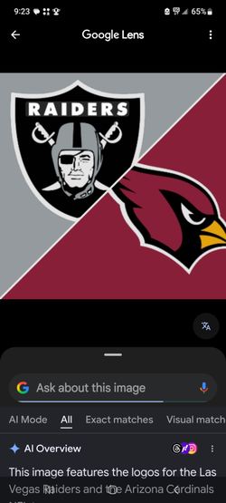 Preseason raiders vs Cardinals