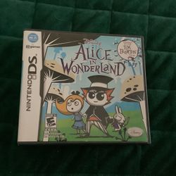 Nintendo DS Game -- Alice In Wonderland