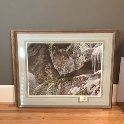 Robert Bateman “At The Cliff - Bobcat”