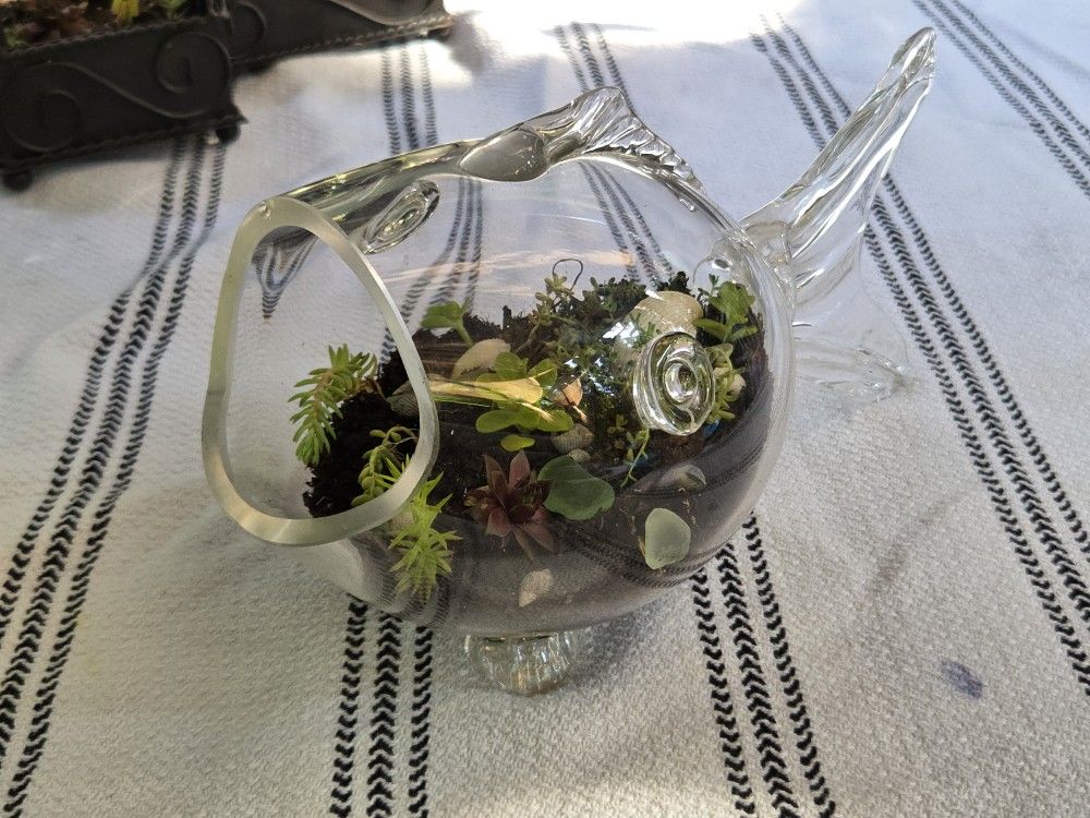π Glass Fishbowl Succulent Planter β Real Sea Glass + Shells β Coastal Decor