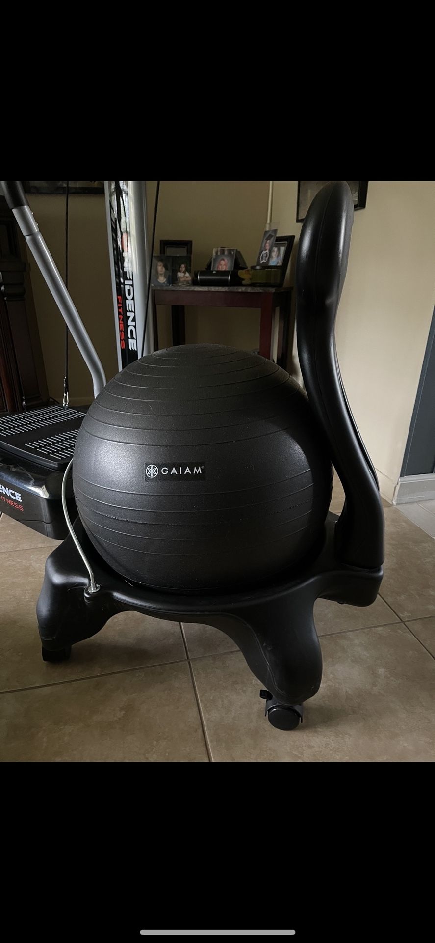 Gaiam Balance Ball Chair