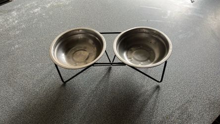 Small dog bolw