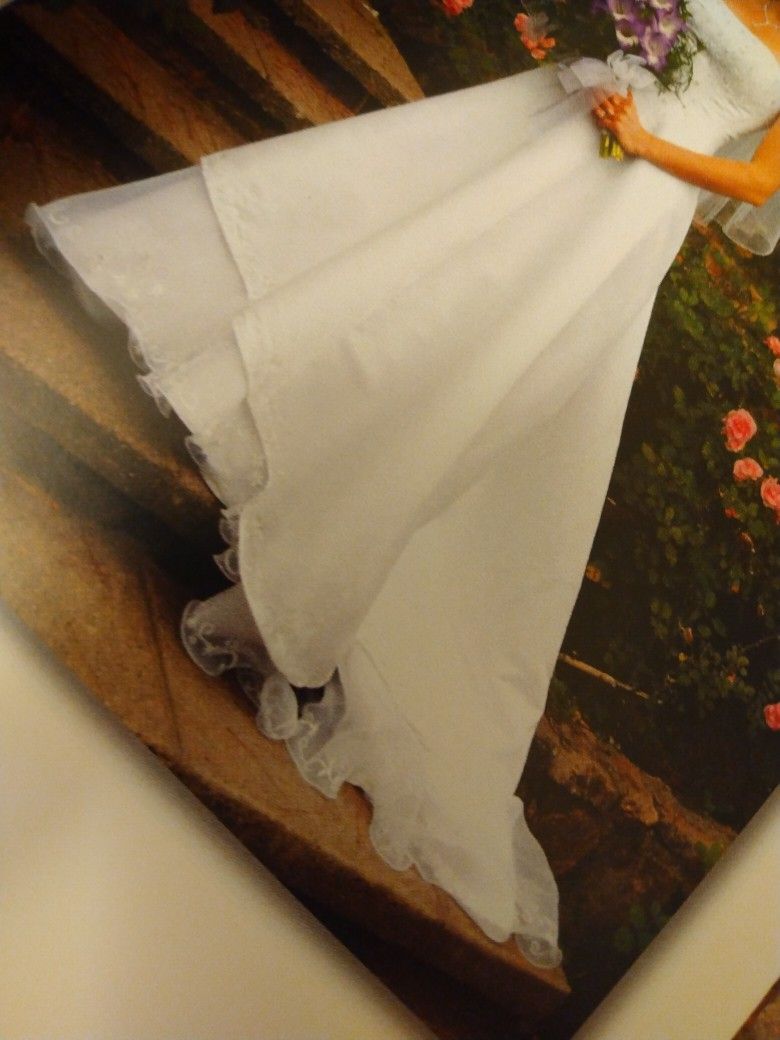 ~$900 Wedding Dress Preserved Boxed David's