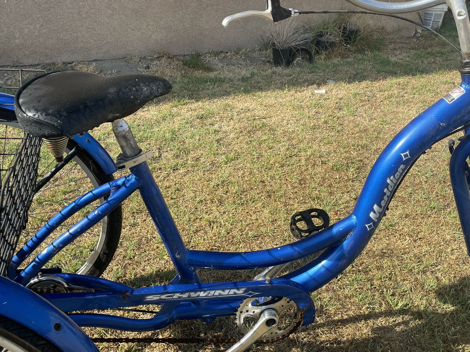 Schwinn Meridian Adult Tricycle