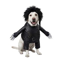 Edward Scissorhands Dog Halloween Costume