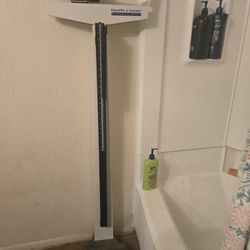 Health O Meter Doctors Scale