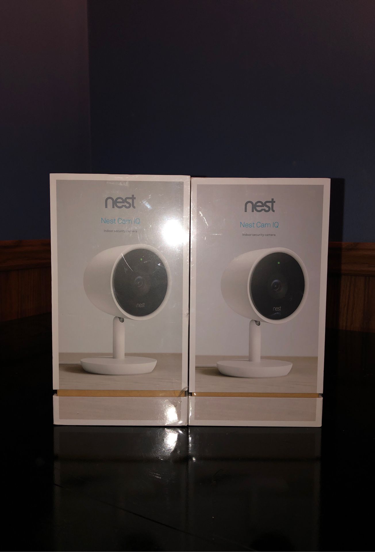 Google Nest Cam IQ camera ($200 each)