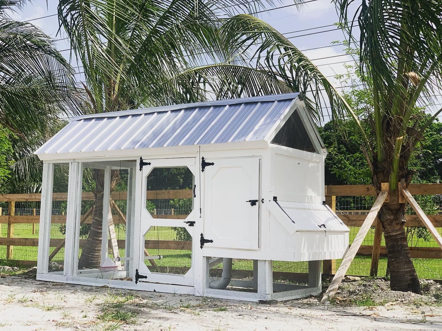 4’x10’ Urban Chicken Coop!
