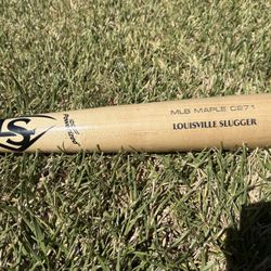 Wood Baseball Bat
