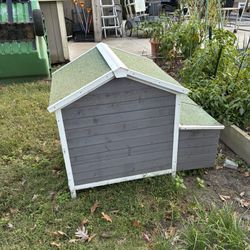 Chicken Coop 
