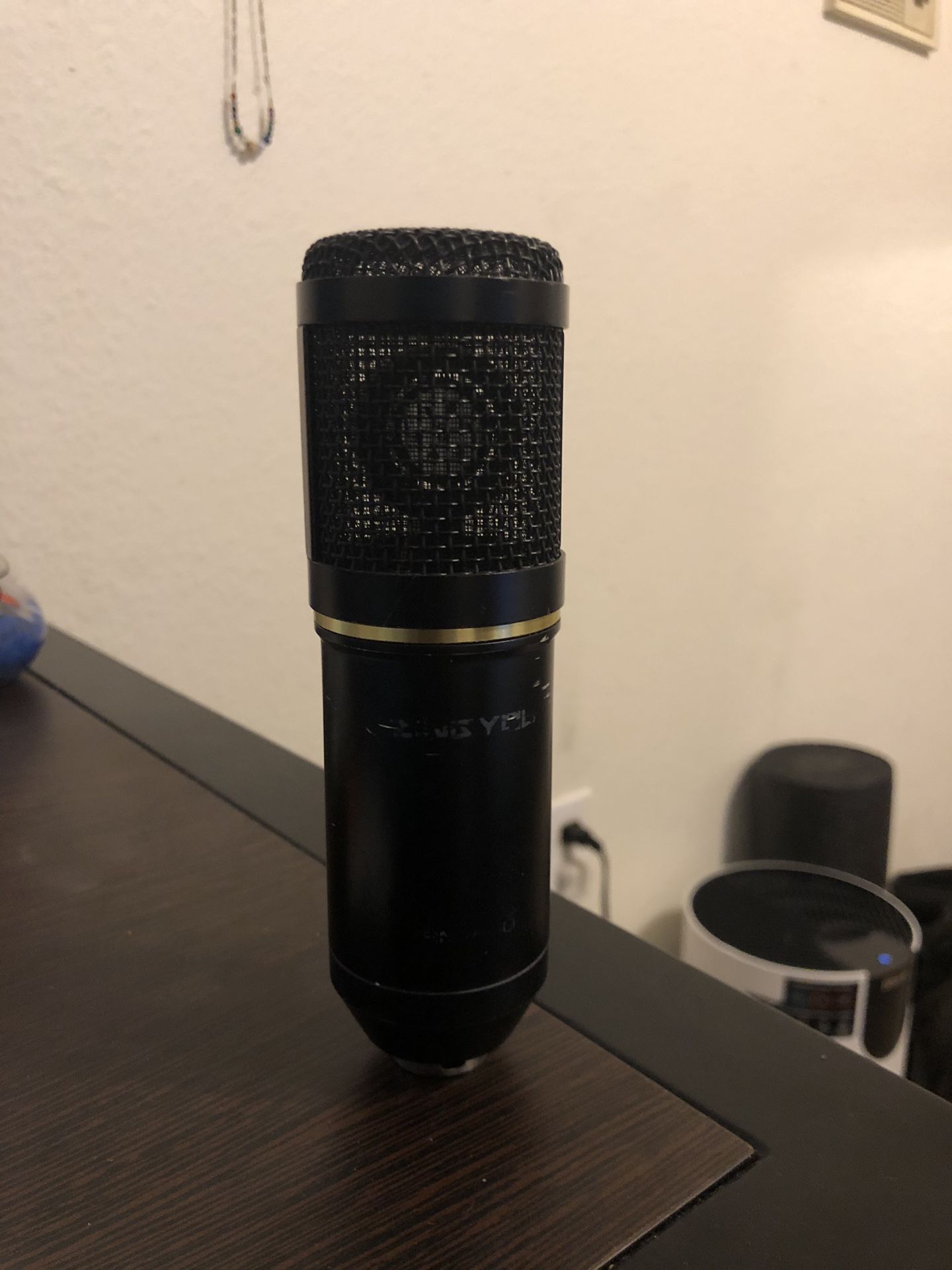 XLR Mic