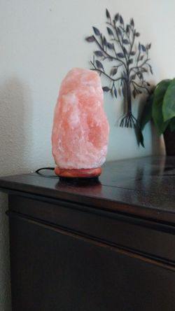 Rock lamp just needs bulb