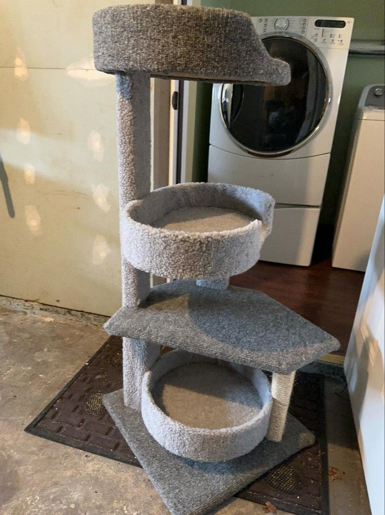 Cat climbing tower