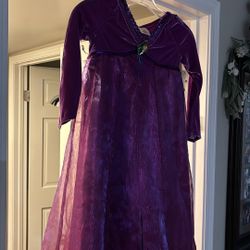 Rare Disney Frozen Elsa Purple Nightgown Sz. 5/6