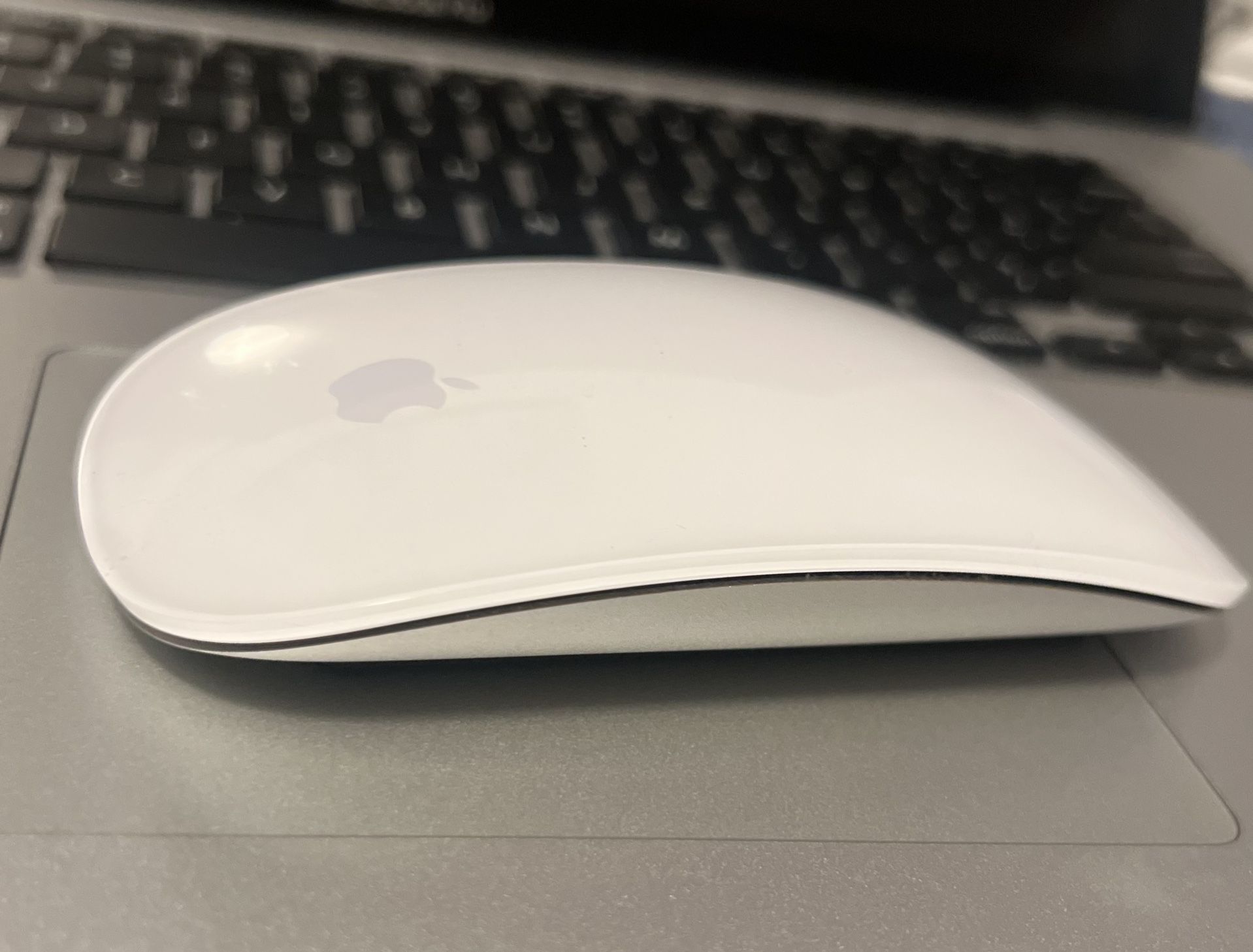 Apple Magic Mouse (First Gen)