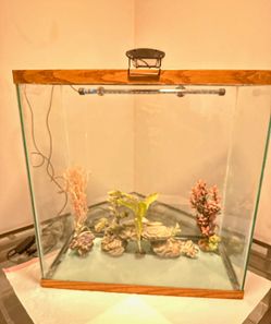 30 Gallon Tall Aquarium W/ Extras