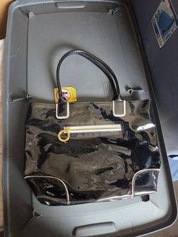 Esteel Laider Purse and clutch