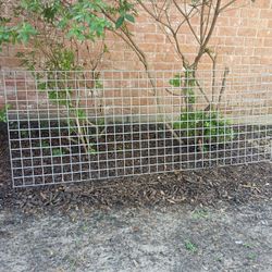 Fence 