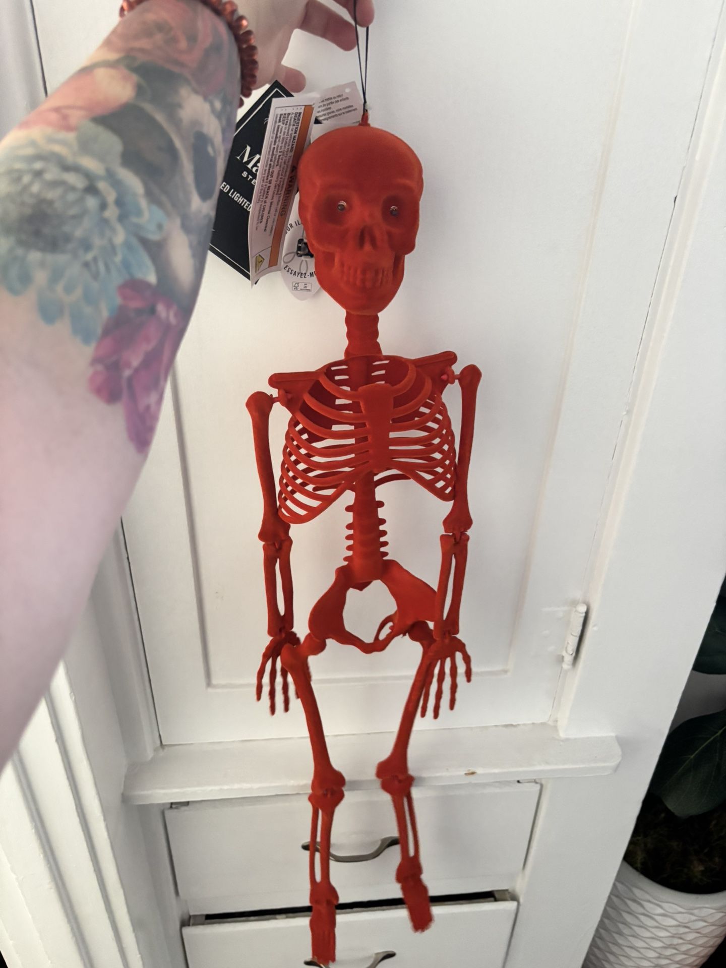 Brand New Skeleton Halloween Decor 